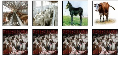 沂源肉牛養(yǎng)殖場(chǎng)$$沂源哪兒有賣(mài)肉牛苗的產(chǎn)品的資料 - 山東機(jī)電網(wǎng)