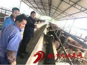狠抓落實(shí),全力推進(jìn)農(nóng)業(yè)產(chǎn)業(yè)扶貧工作 就學(xué)習(xí)貫徹落實(shí)州委八屆五次全會(huì)精神訪州農(nóng)業(yè)局黨組書記 局長熊漢峰