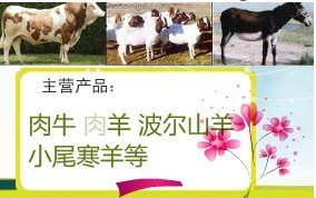 生羊價格走勢_農副產品_世界工廠網