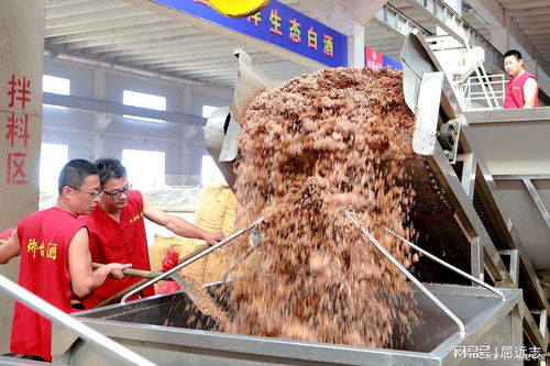 觸目驚心 記者臥底鴨腸鵝腸工廠,揭露食品安全問題