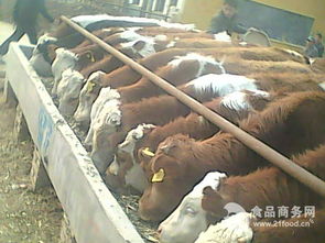 秸稈養牛新技術價格,產品報價