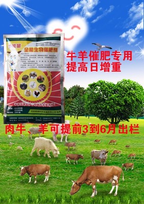 【牛羊如何飼喂長得快?牛羊催肥劑價格廠家直銷】-
