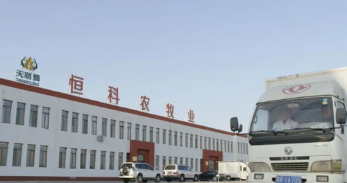 疫情之下,牧民收入一分沒減