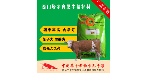 新肉牛精飼料