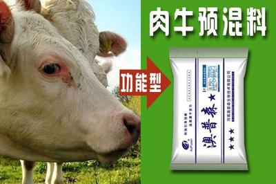 肉牛催肥用牛預混料圖片|肉牛催肥用牛預混料樣板圖|肉牛催肥用牛預混料-河南澳普森生物技術