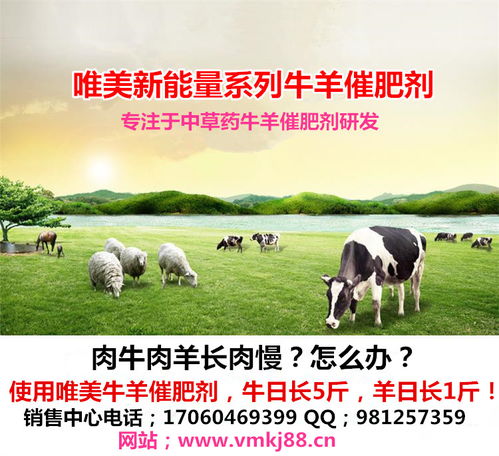 【肉牛催肥劑怎么選擇?那家牛羊催肥劑廠家可靠?唯美牛羊催肥劑價格便宜】-