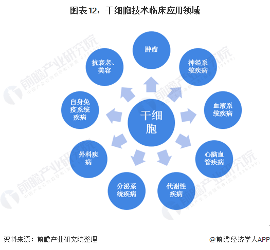 干細胞技術的臨床應用領域與開發前景